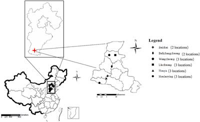 Foliar Zinc Application to Wheat May Lessen the Zinc Deficiency Burden in Rural Quzhou, China